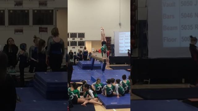 Temre's Beam at the MAC 2/15/15 смотреть онлайн