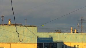 Жизнь и Смерть воздушного шарика
