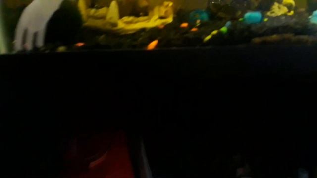 An other tragedy смотреть онлайн