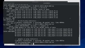 Testing Network Interface Configuration