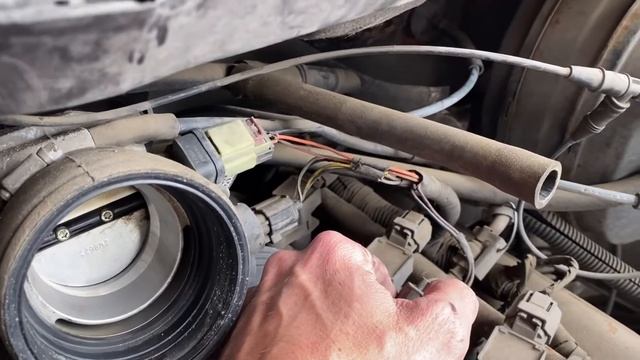 2003 Ram 1500 Pickup Truck Rodent Damge Found! Fixed! смотреть онлайн