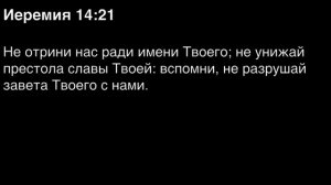 День 207. Библия за год. С митрополитом Иларионом.