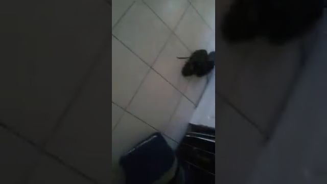 Привет Москва! Отэль Москвич смотреть онлайн