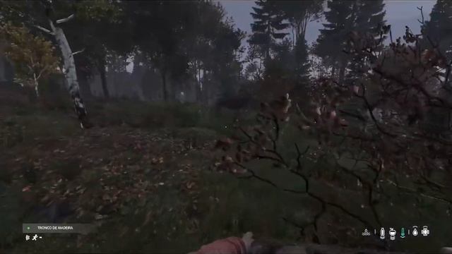 DayZ: Em busca de uma Base! -  Xbox Cloud Gaming смотреть онлайн