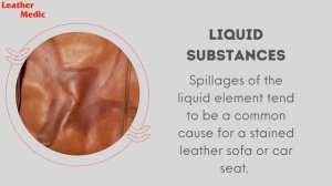 Essential tips to have your leather sofas & car seats protected