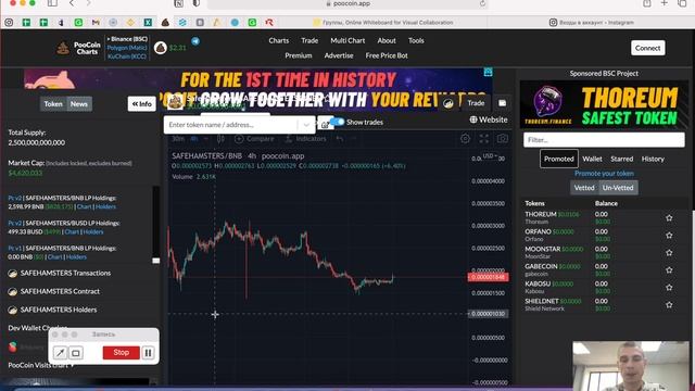 SAFEHAMSTERS ТОКЕНЫ что происходит? | ХОМЯКИ | IRON INVEST LTD - инвестиции в криптовалюту