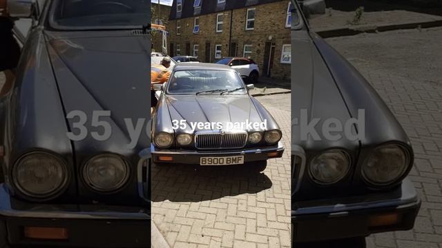 JAGUAR XJ6 SERIES 3 PARKED SINCE 1988 TILL NOW. смотреть онлайн