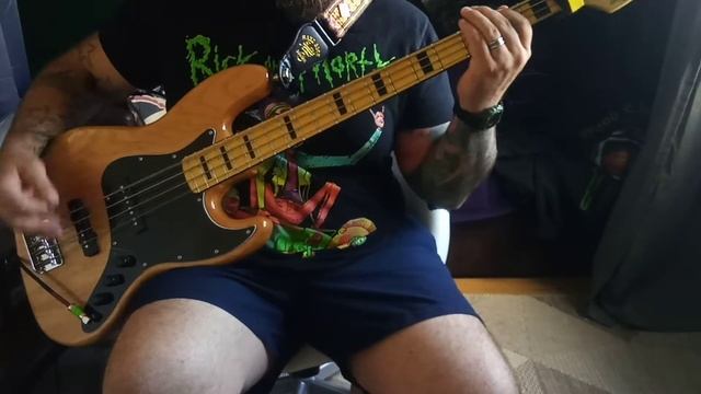 Three Days Grace - I hate everything about you (Bass Cover)