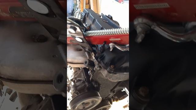 2.4 Dodge Avenger motor in position for transplant #mechaniclife #cdshawn смотреть онлайн