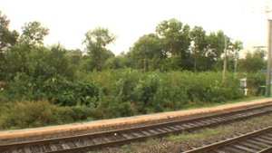 Лесозаводск Приморский край вид из окна поезда