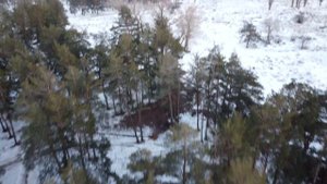 Февральский вечер