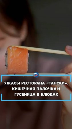 Ужасы ресторана «Тануки». Кишечная палочка и гусеница в блюдах #shorts