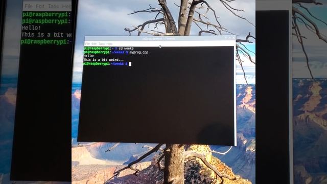 Linux Echo Assignment смотреть онлайн