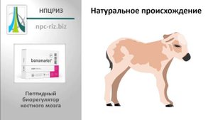 Бономарлот