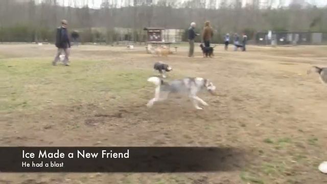 Bil Jac 5 смотреть онлайн