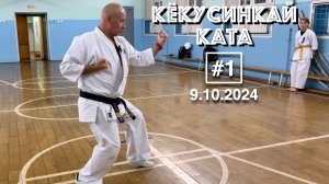 Кёкусинкай Ката-1 / Тайкёку 1-3, Пинан-1, Гэкисай сё (9.10.24)