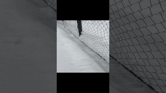 Выходные на даче 2024