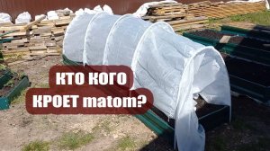 Народ негодует. Кроют их matom все подряд. Ждать еще месяц?