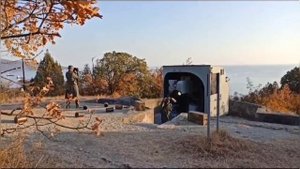 Шоурил ПроКино