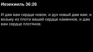 День 233.  Библия за год. С митрополитом Иларионом.