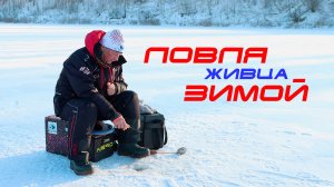 ЛОВЛЯ ЖИВЦА на зимней рыбалке