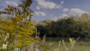 Прослушивание Слова Божьего поможет вам отвлечься от всех забот и тревог