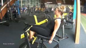 Seated Leg Curl