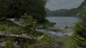 Не можешь уснуть? Слушай Слово Господа  Бога твоего и  оно успокоит тебя.