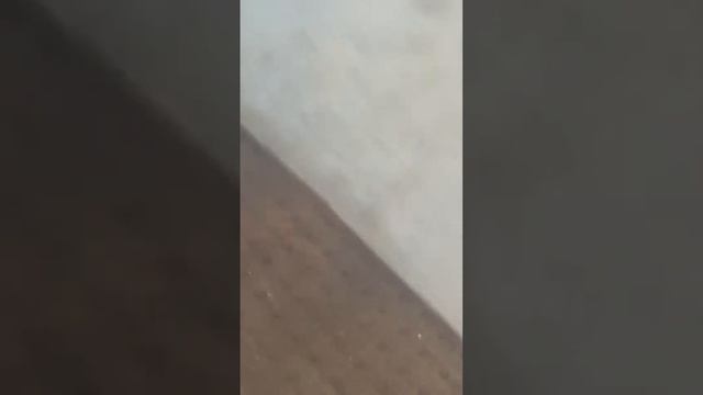 West Lincoln pump 1 tanker 1 and rescue 1 response to a working grass fire 04/08/2021 смотреть онлайн