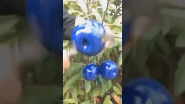 Colour full Apples ninja cutting//different colours apples