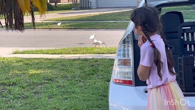 Blog ,блог Большая семья , из Москвы в сша Флорида смотреть онлайн