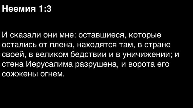 День 124. Библия за год. С митрополитом Иларионом.