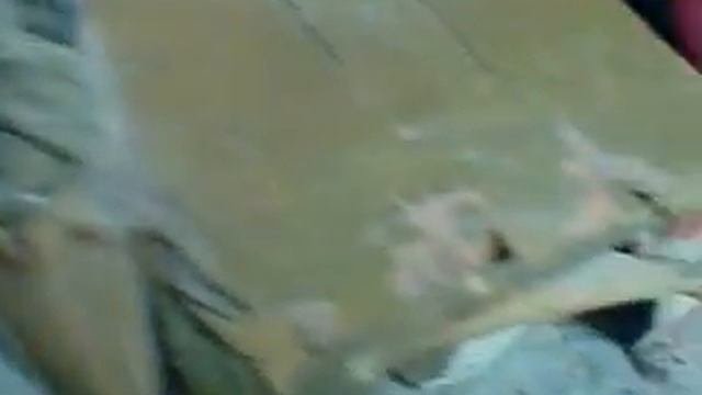 терминатор 5 хроники серика конор