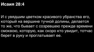 День 195. Библия за год. С митрополитом Иларионом.