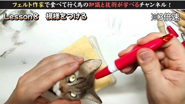 ⑧【キジトラ】レッスン動画　#羊毛フェルト　#リアル羊毛フェルト　#ニードルフェルト　＃羊毛フェルト作家　ハンドメイド смотреть онлайн