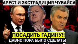 ПОСАДИТЬ ЭТУ ГАДИНУ! Володин потребовал АРЕСТОВАТЬ ЧУБАЙСА и посадить его в России