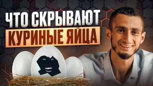 ШОК! Вся правда про яйца и курицу из магазина