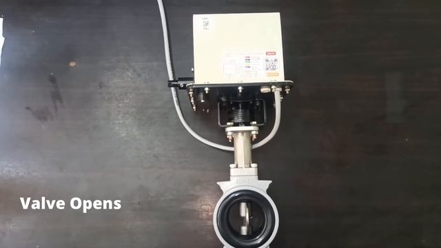 Motorized Butterfly Valve DN50 Aluminium Die Cast Body