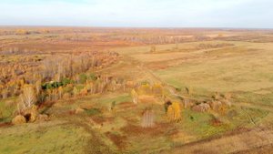 СТОО Салаирское Тюменский район