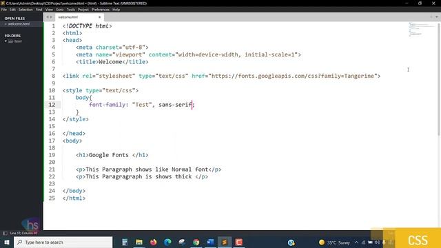 Applying Google Fonts in css | Add Custom Fonts to Websites Using Google Fonts | Free Source Code