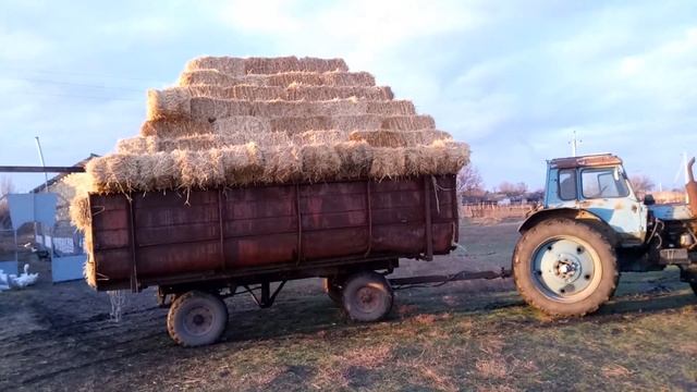 Выгрузка соломы. 250 тюков. смотреть онлайн