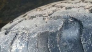 звук работы v8 магнум318