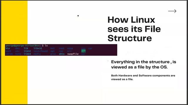 Lesson 26   Tour of the Linux File System