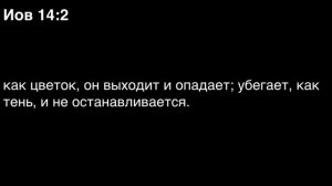 День 144. Библия за год. С митрополитом Иларионом.