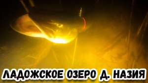 Ладожское Озеро д. Назия Подводная охота