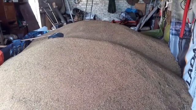 затарились зерном. сколько стоит машина зерна.