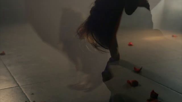 КЛИП ШИБАРИ | ТАНТРА