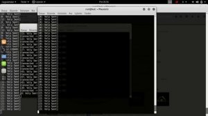 Kali Linux DDos Attacks