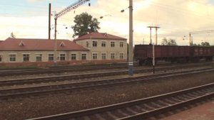 Биробиджан  Хабаровск вид из окна поезда