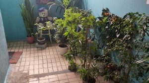 Такие интересные подъезды есть в Белгороде